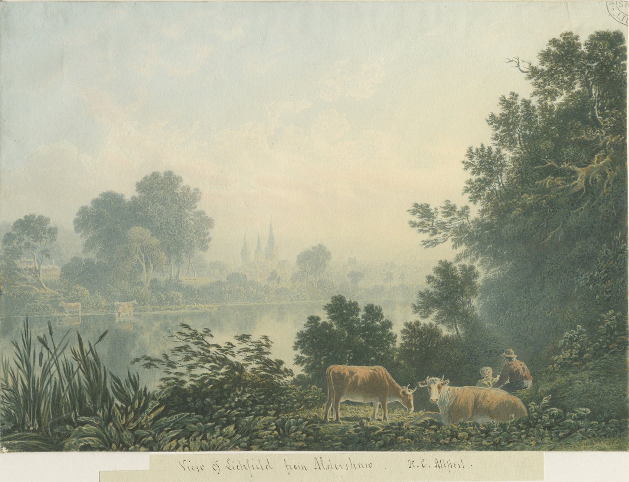 Lichfield Cathedral - Udsigt fra Aldershaw af Henry Curzon Allport
