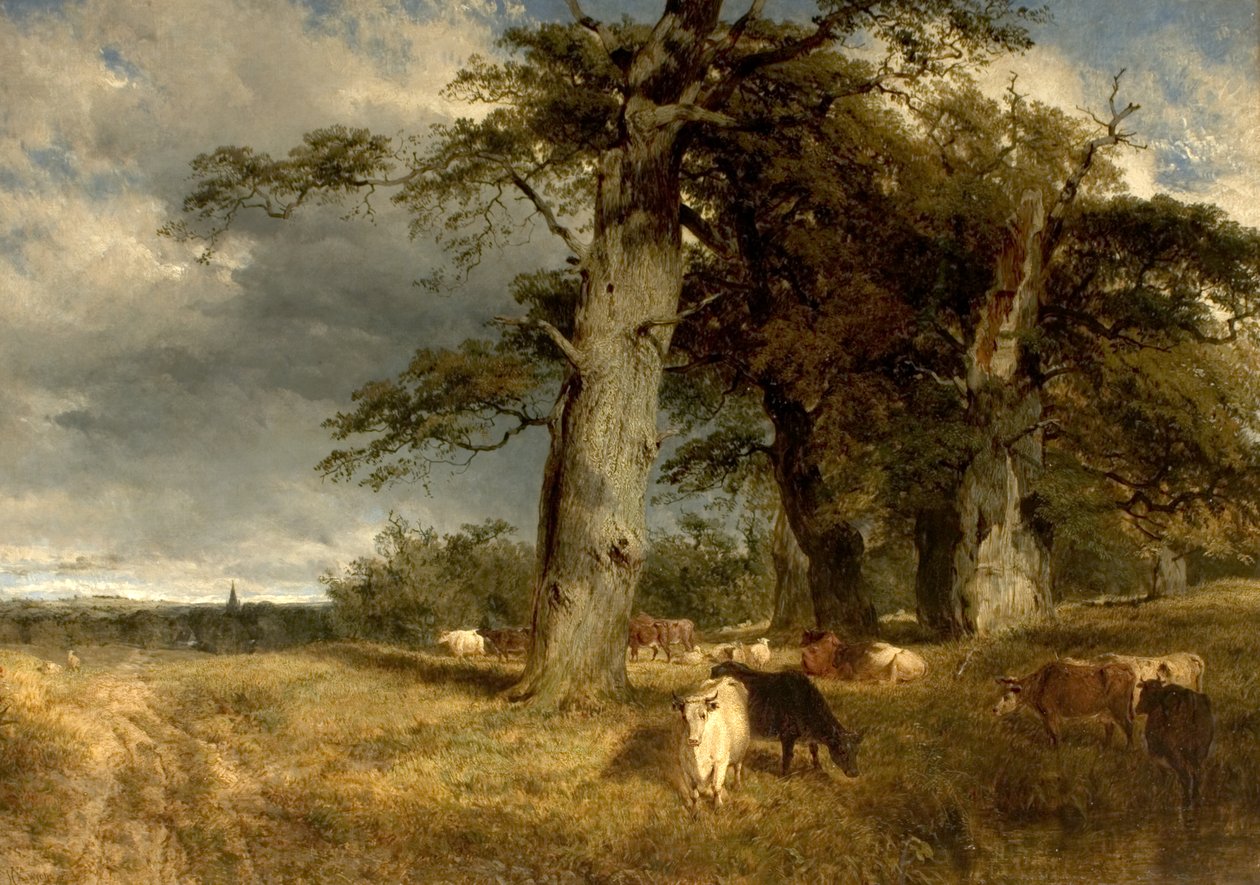 Landskab i Dukeries, Nottinghamshire, 1850 af Henry Dawson