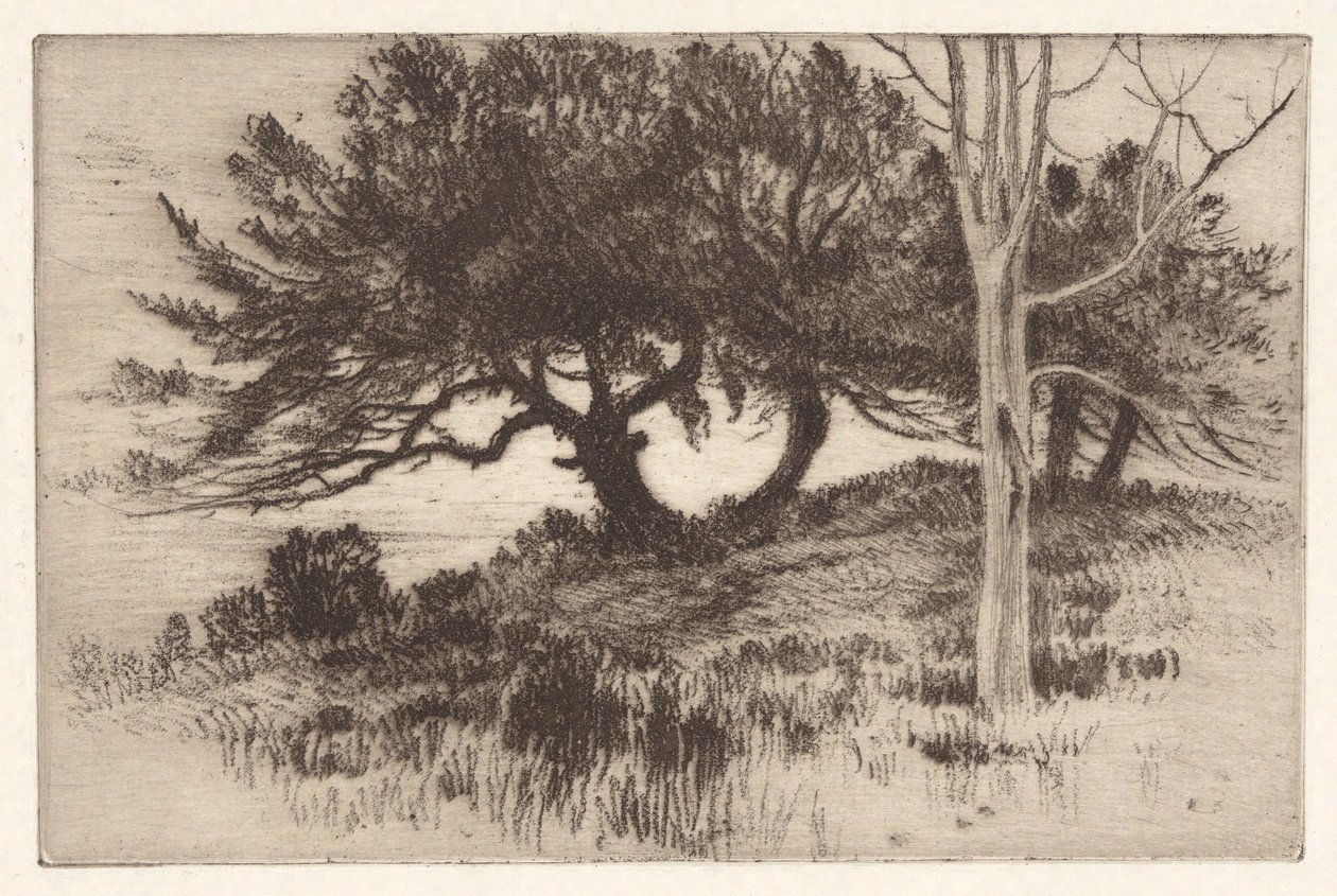 Nær havet af Henry Farrer