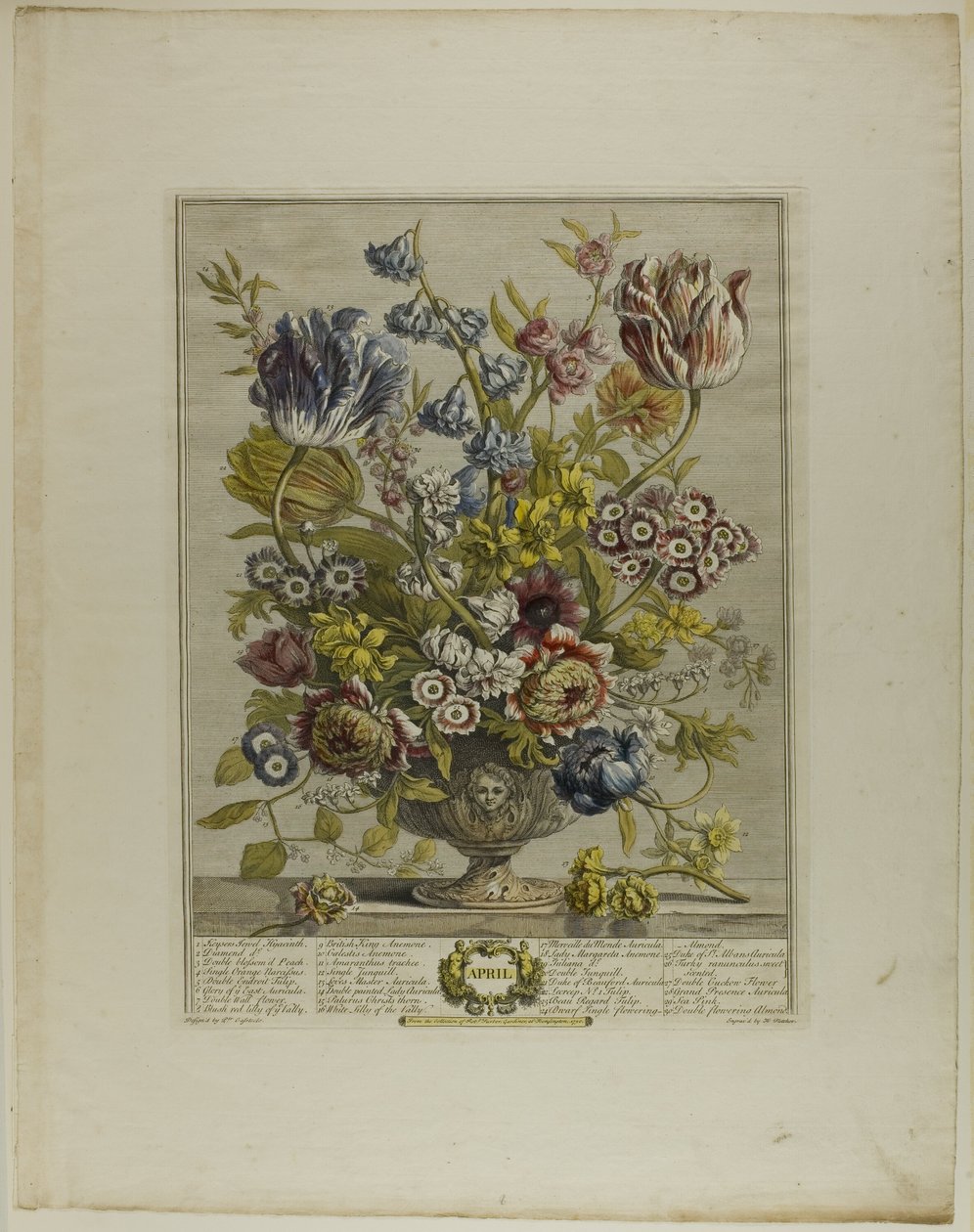 april, fra Tolv måneder med blomster af Henry Fletcher