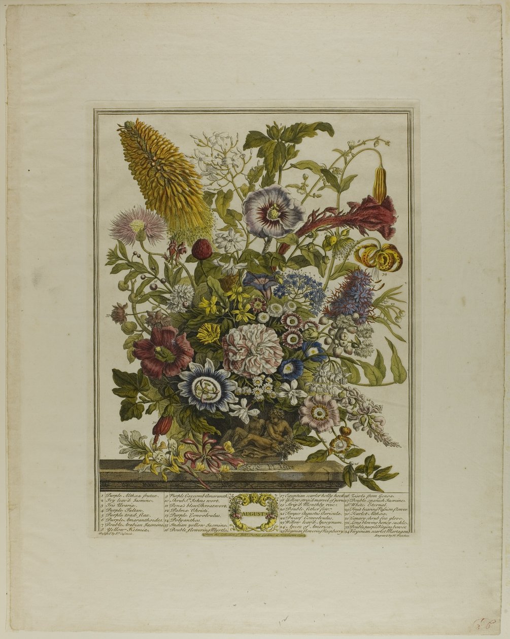 august, fra Tolv måneder med blomster af Henry Fletcher