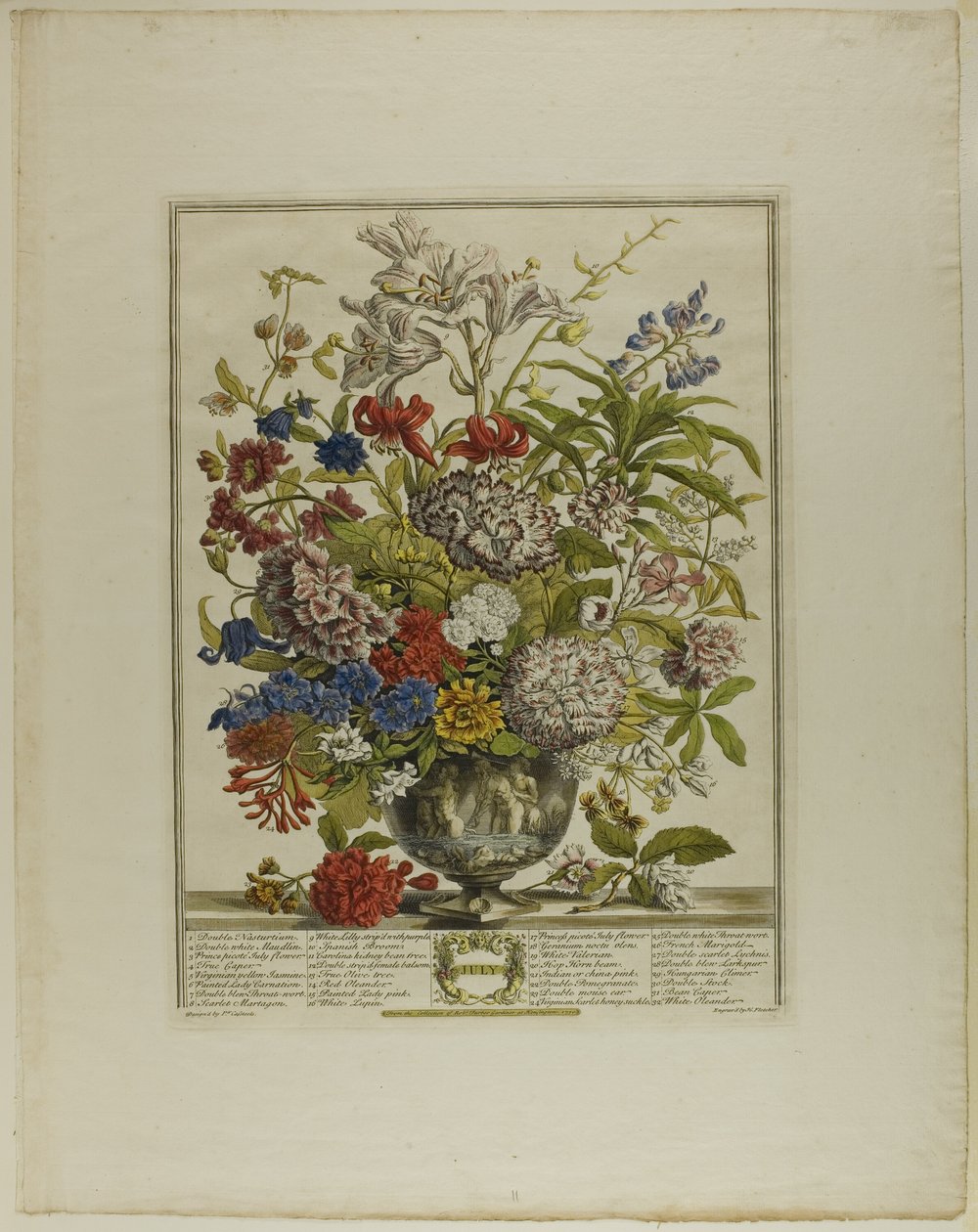 juli, fra Tolv måneder med blomster af Henry Fletcher