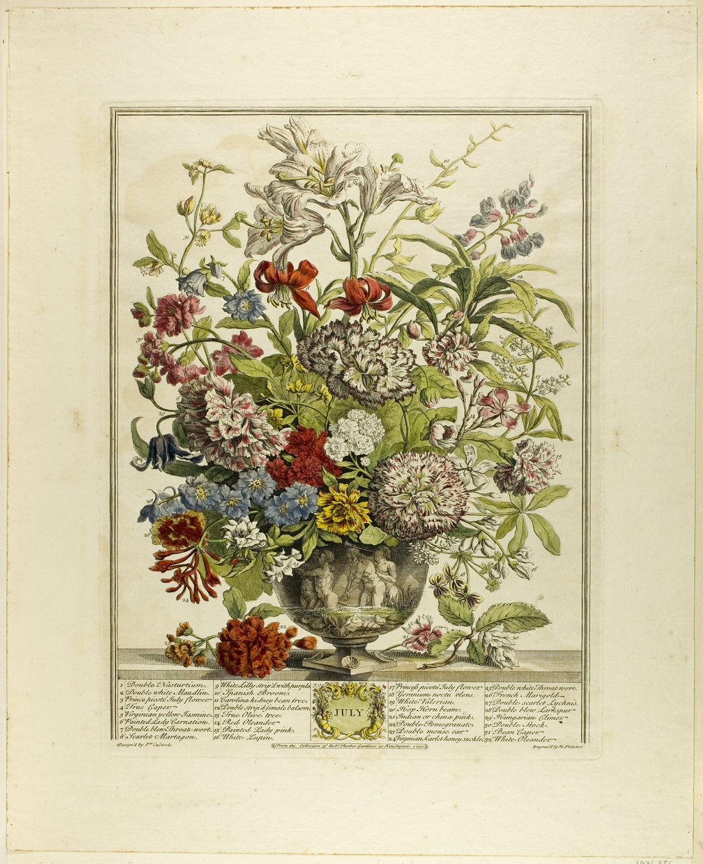 Juli, fra Tolv måneders blomster af Henry Fletcher