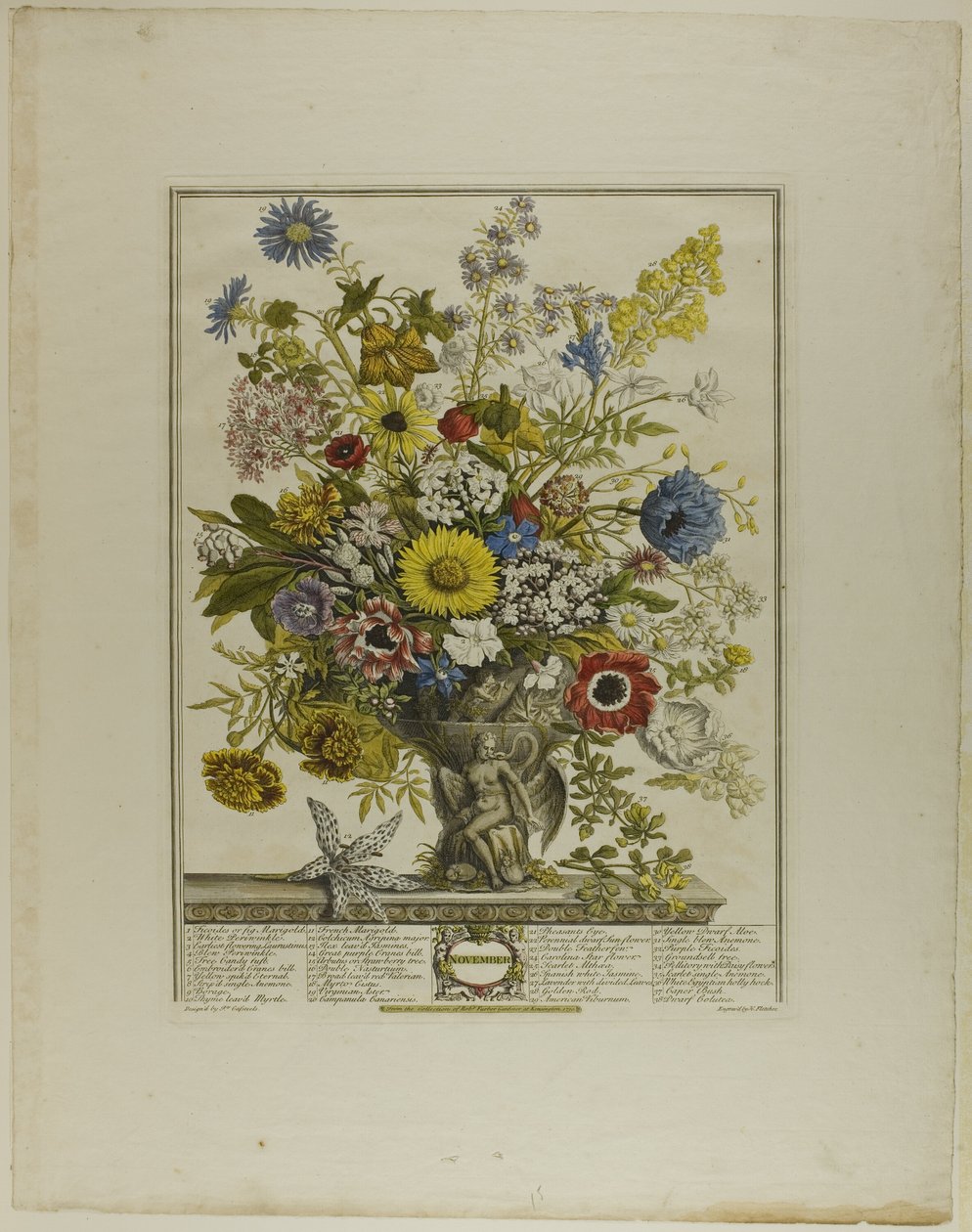 november, fra Tolv måneder med blomster af Henry Fletcher