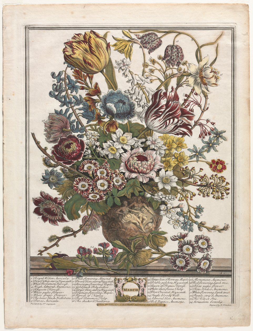 Tolv måneders blomster: marts af Henry Fletcher