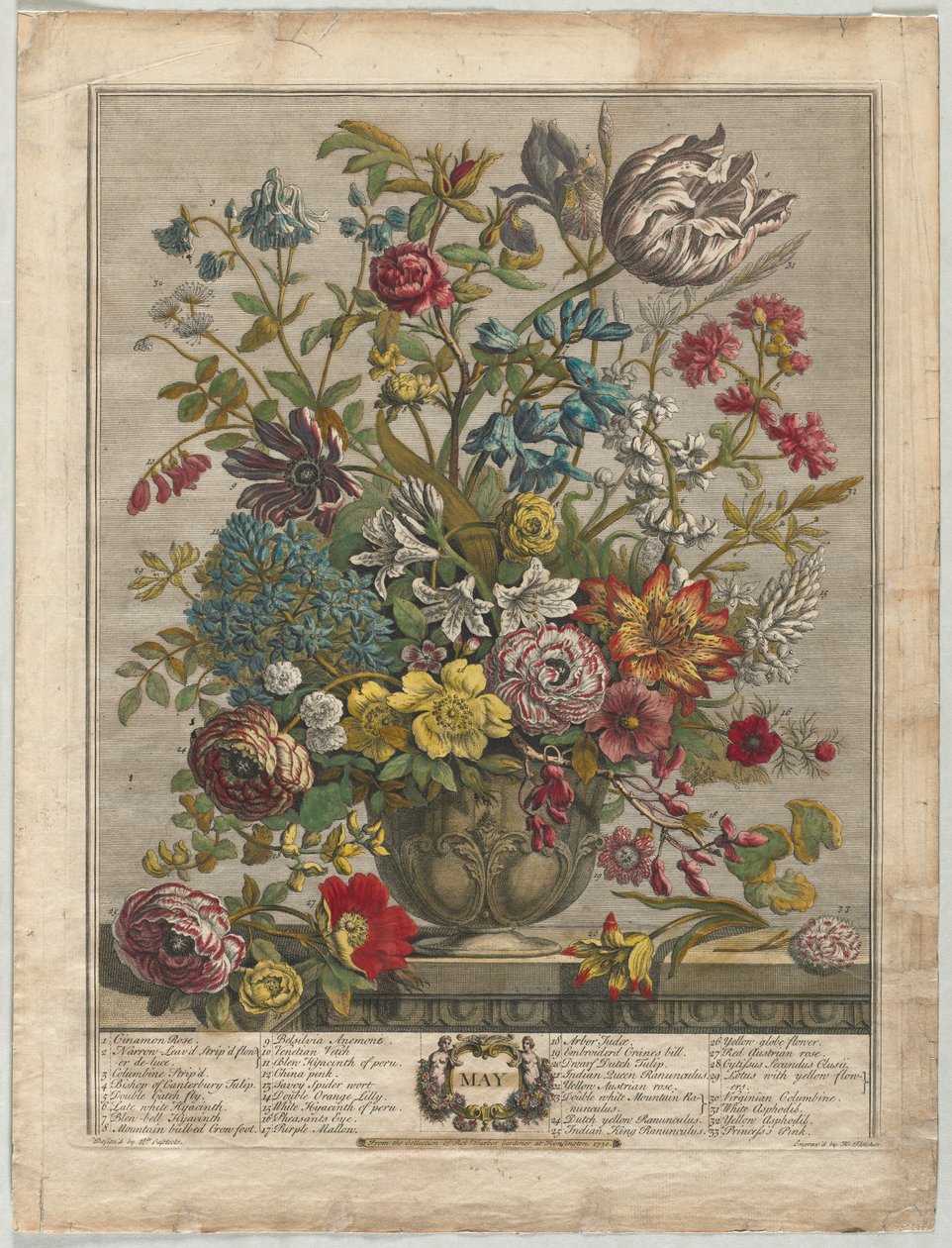 Tolv måneders blomster: maj af Henry Fletcher
