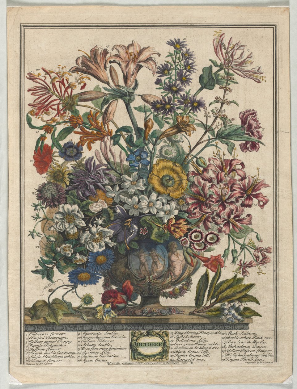 Tolv måneder med blomster:  Oktober af Henry Fletcher