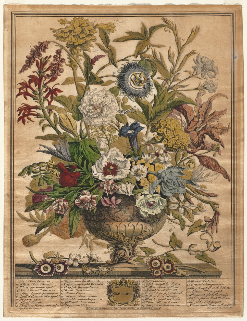 Tolv måneders blomster: september af Henry Fletcher