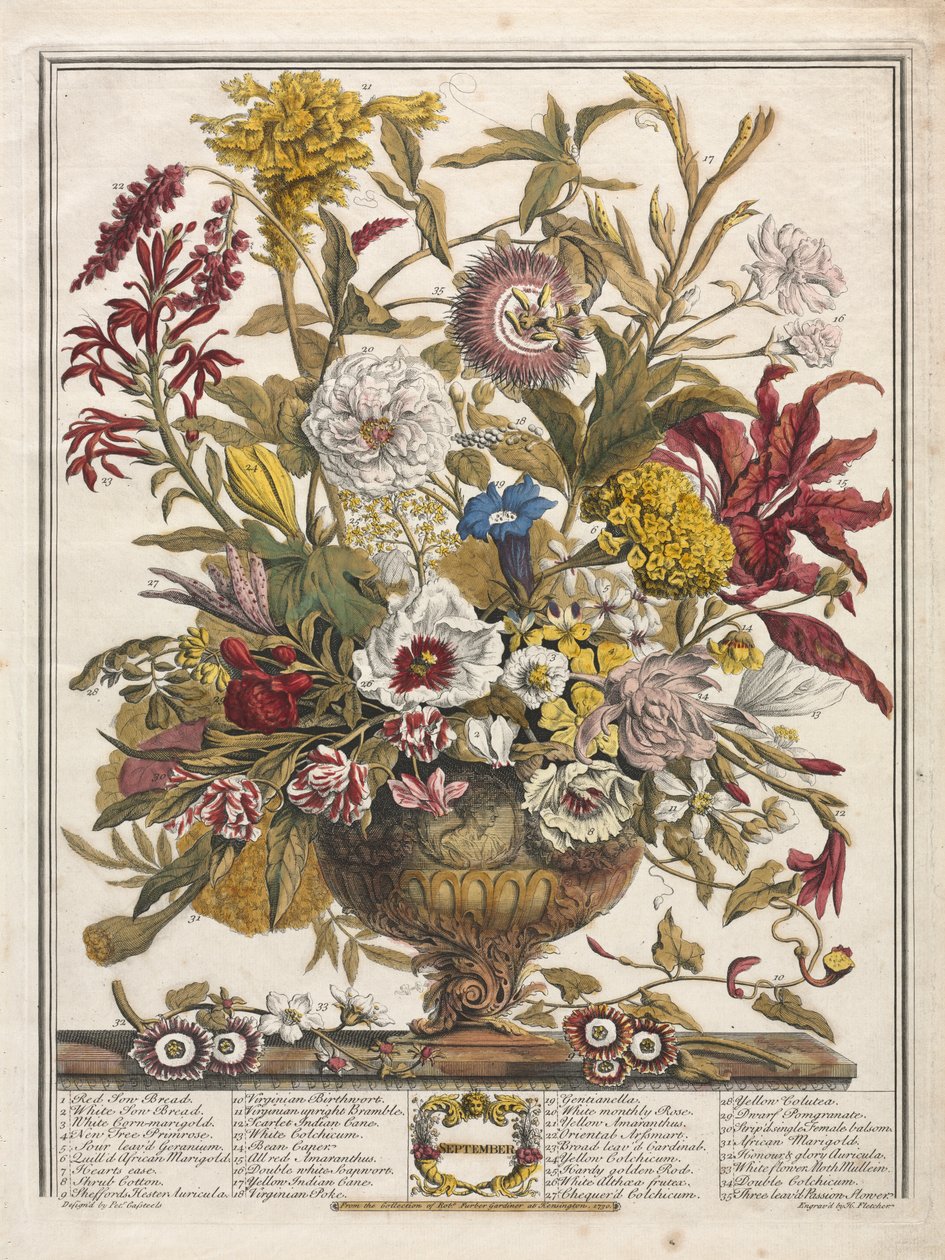 Tolv måneders blomster: september af Henry Fletcher
