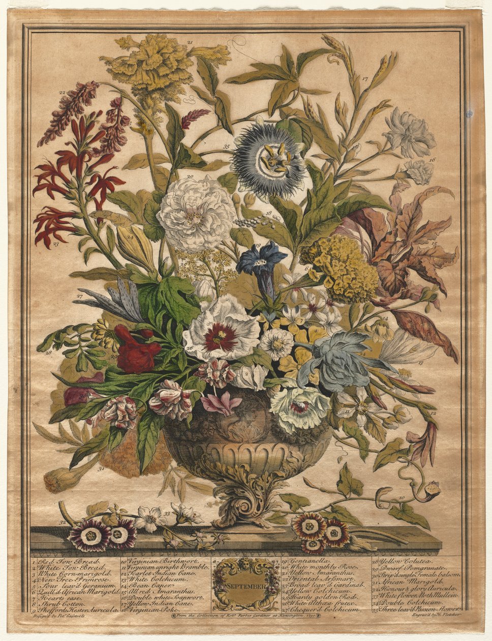 Tolv måneders blomster: september 1730. af Henry Fletcher