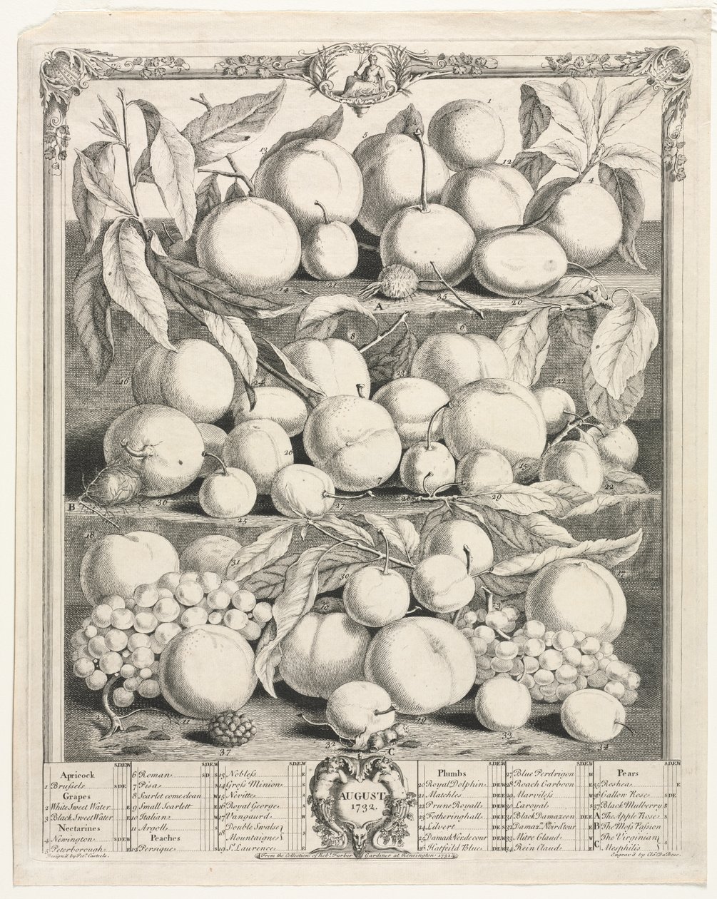 Tolv måneders frugt: august af Henry Fletcher