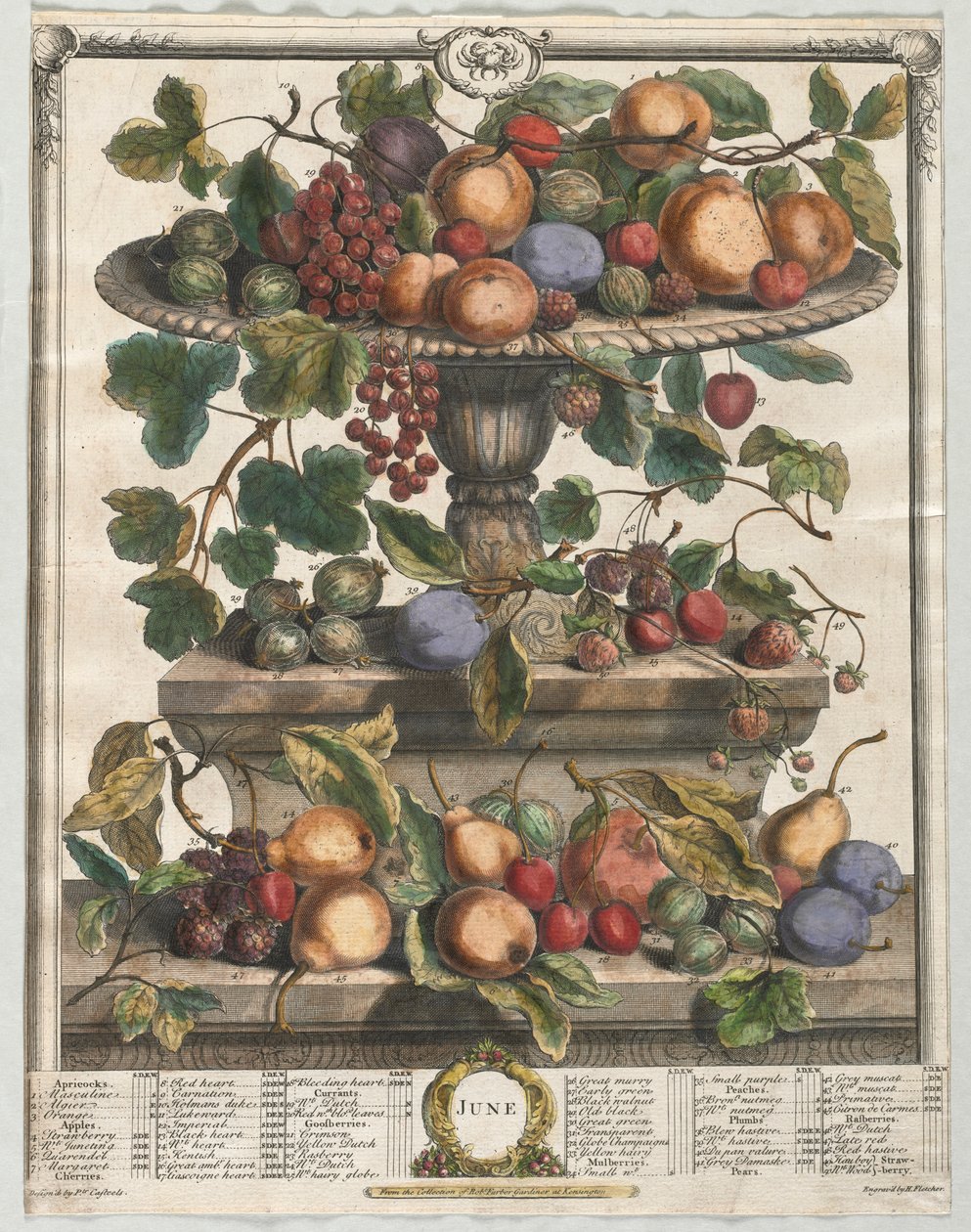 Tolv måneders frugt: juni 1732. af Henry Fletcher