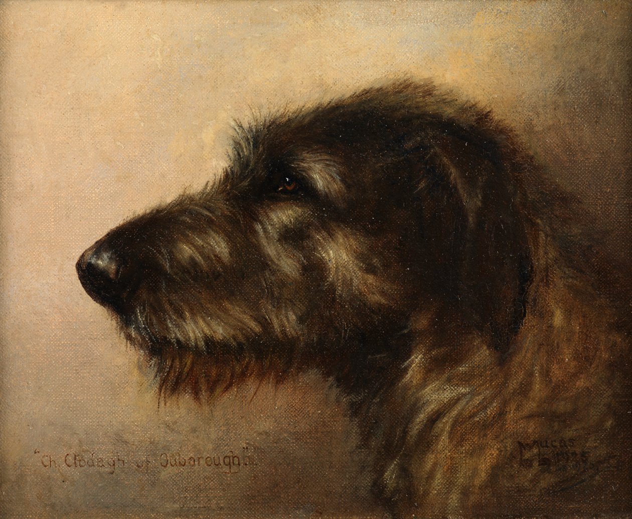 Champion Clodagh af Ouborough, den irske ulvehund af Henry Frederick Lucas Lucas
