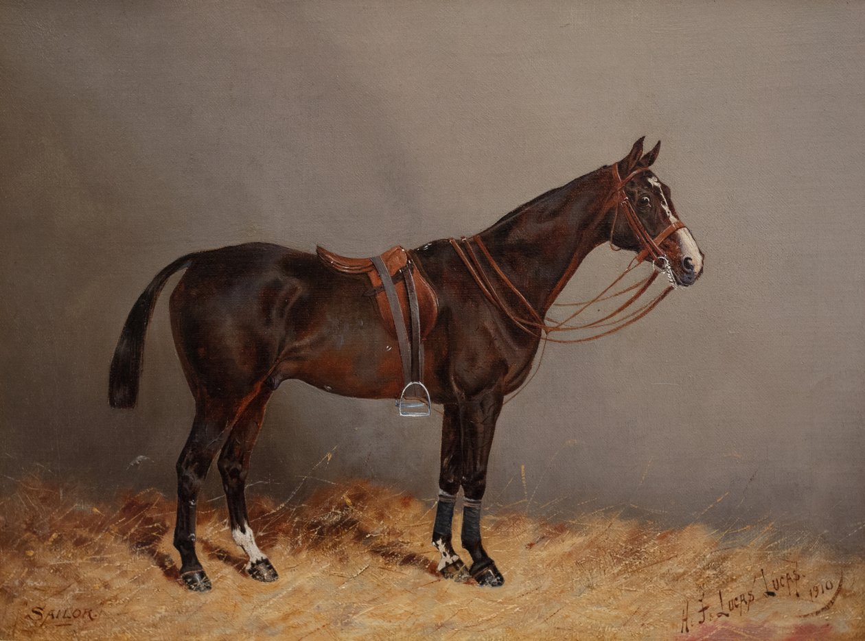 Sømand af Henry Frederick Lucas Lucas
