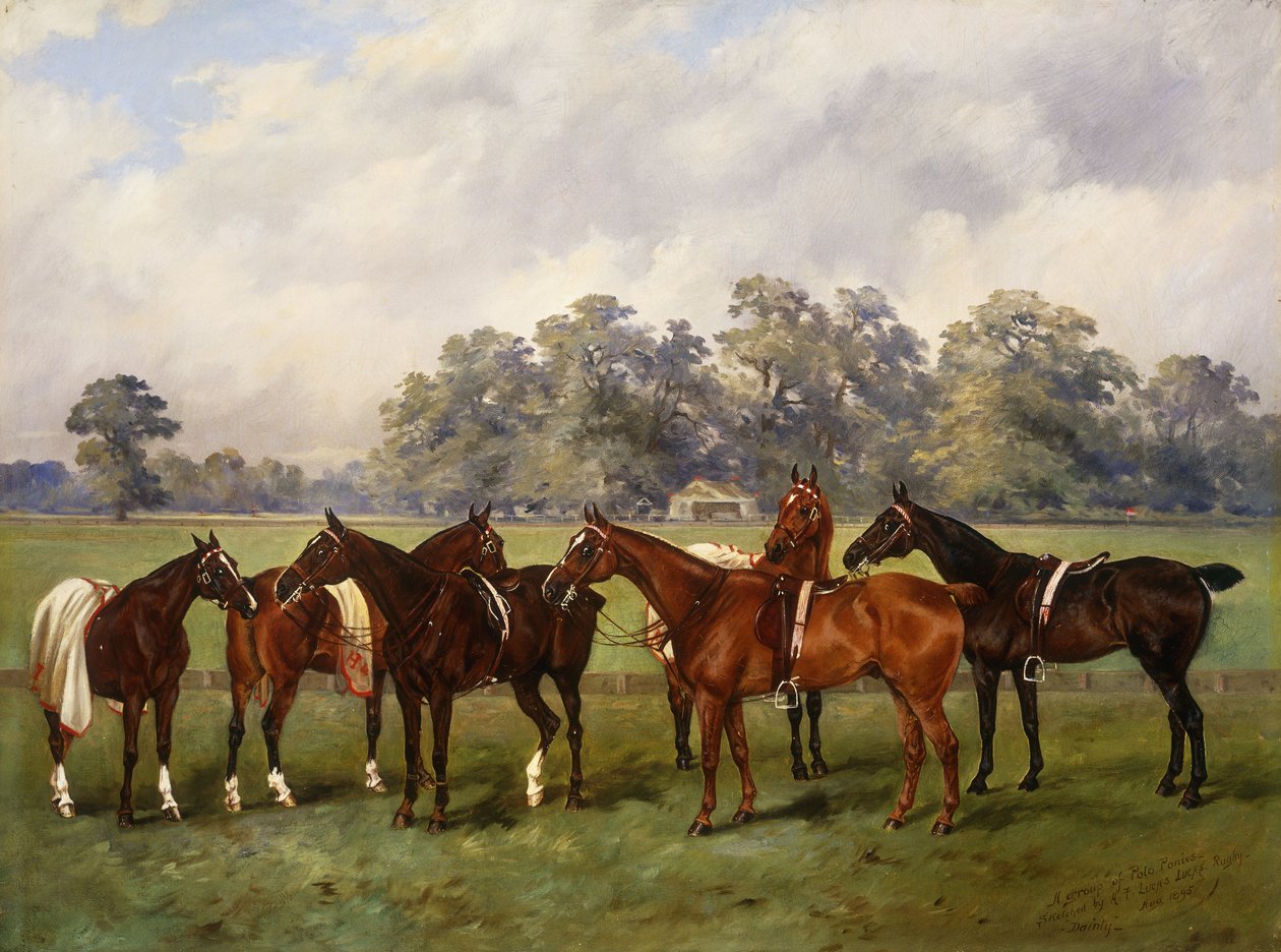 En gruppe af polo ponyer, Dainty, Gold, Redskin, Miss Edge og Piper, ejendom af Sir Humphrey de Trafford, Bart, 1895 af Henry Frederick Lucas Lucas