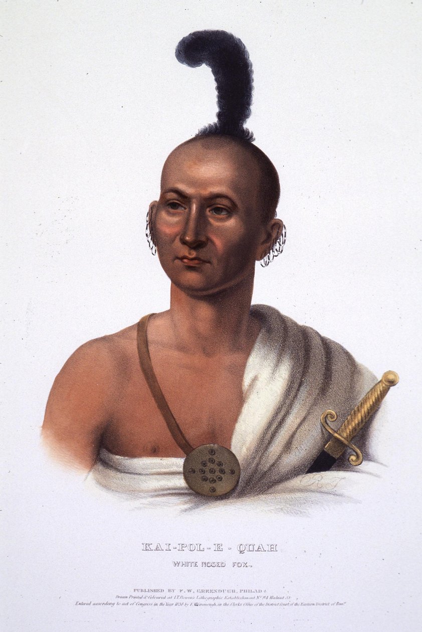 Kai-Pol-E-Quah, ræv med hvid næse af Henry Inman
