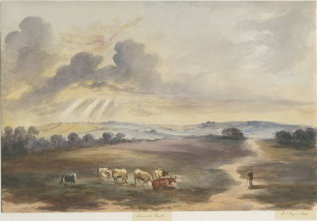 Cannock Chase - "Heath": vandfarvemaleri, 1844 af Henry James Noyes