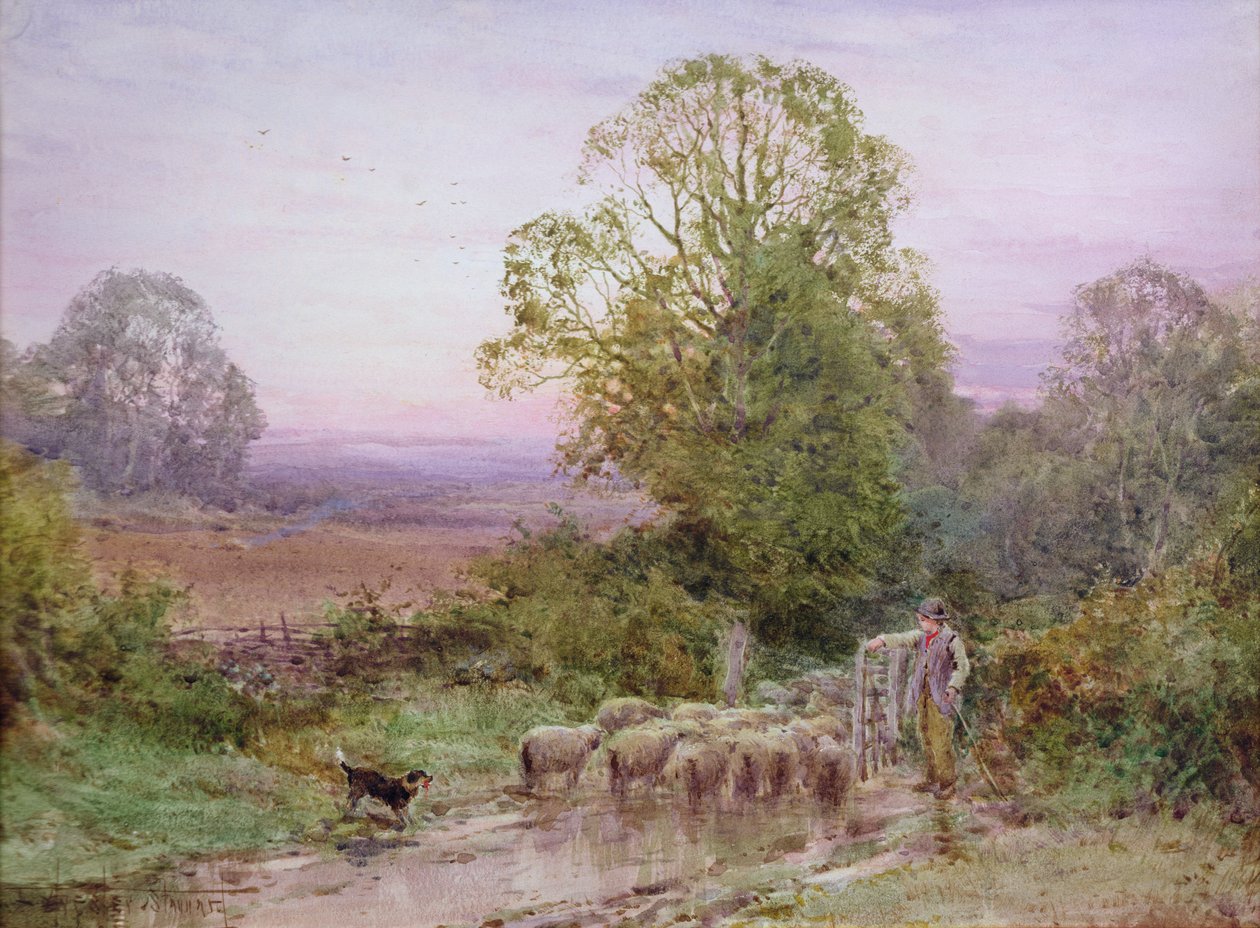 At hyrde fårene (akvarel) af Henry John Sylvester Stannard