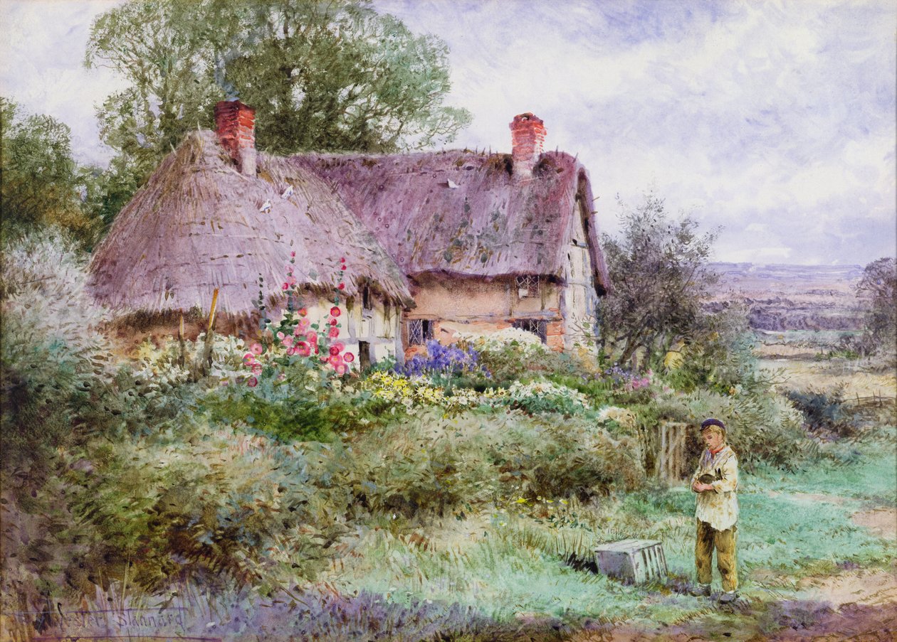 Det nye kæledyr (akvarel) af Henry John Sylvester Stannard