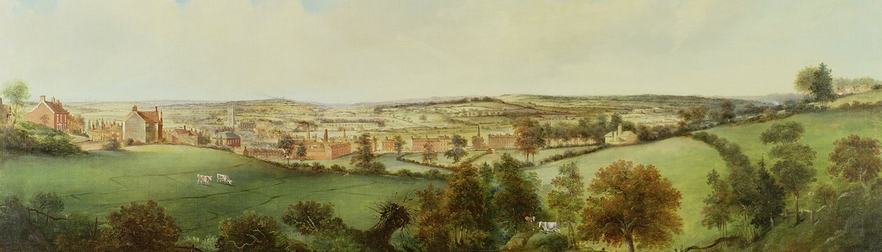 Panoramaudsigt over Stoke on Trent af Henry Lark Pratt
