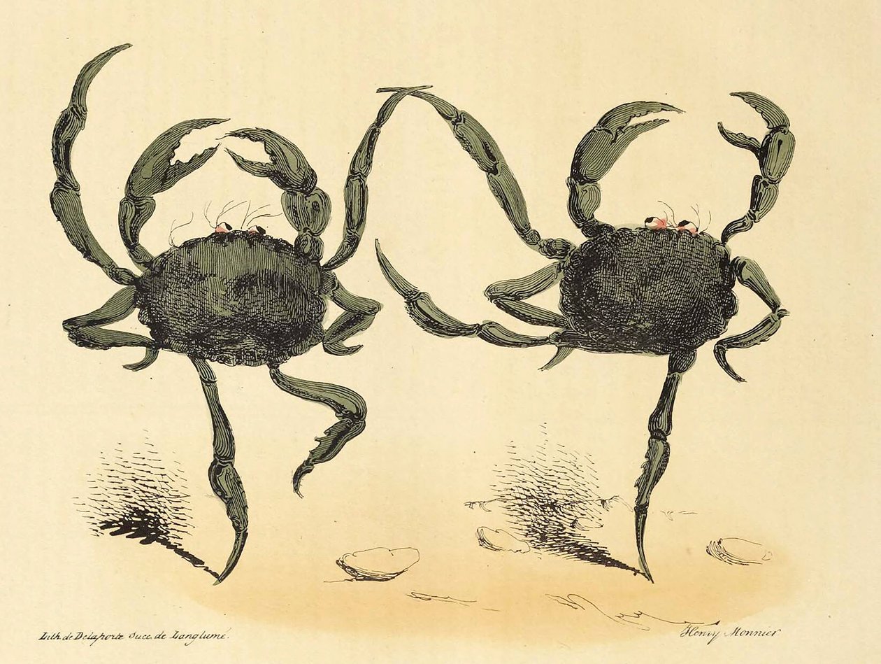Fantastisk dans fra La Caricature, pub. 1831 litografi, 1831. af Henry Monnier