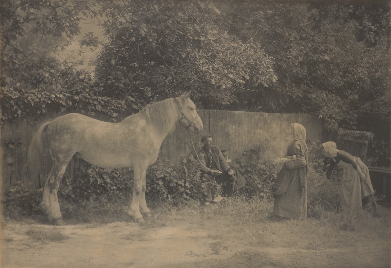 [Old Dapple] af Henry Peach Robinson