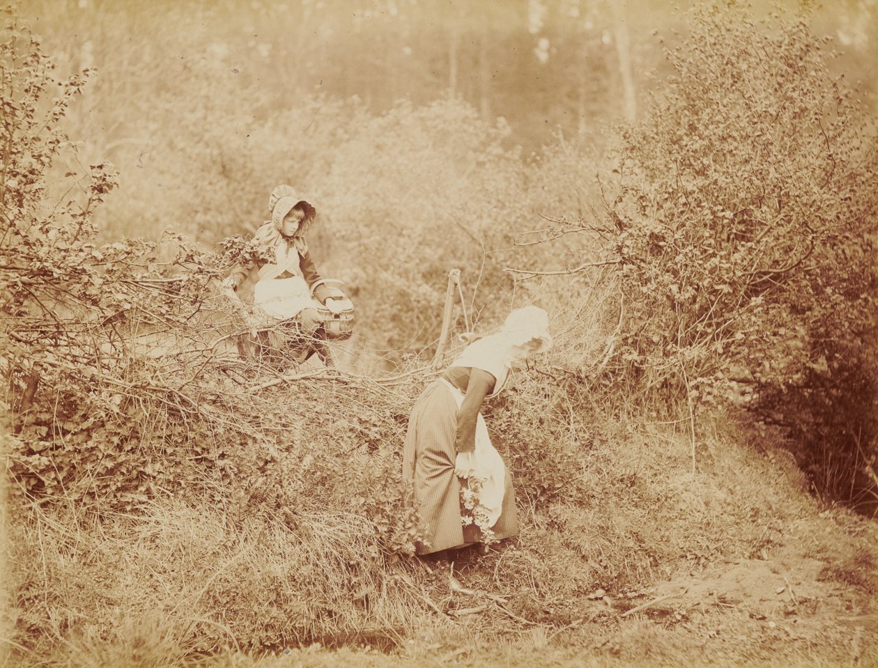 Over hæk og grøft af Henry Peach Robinson