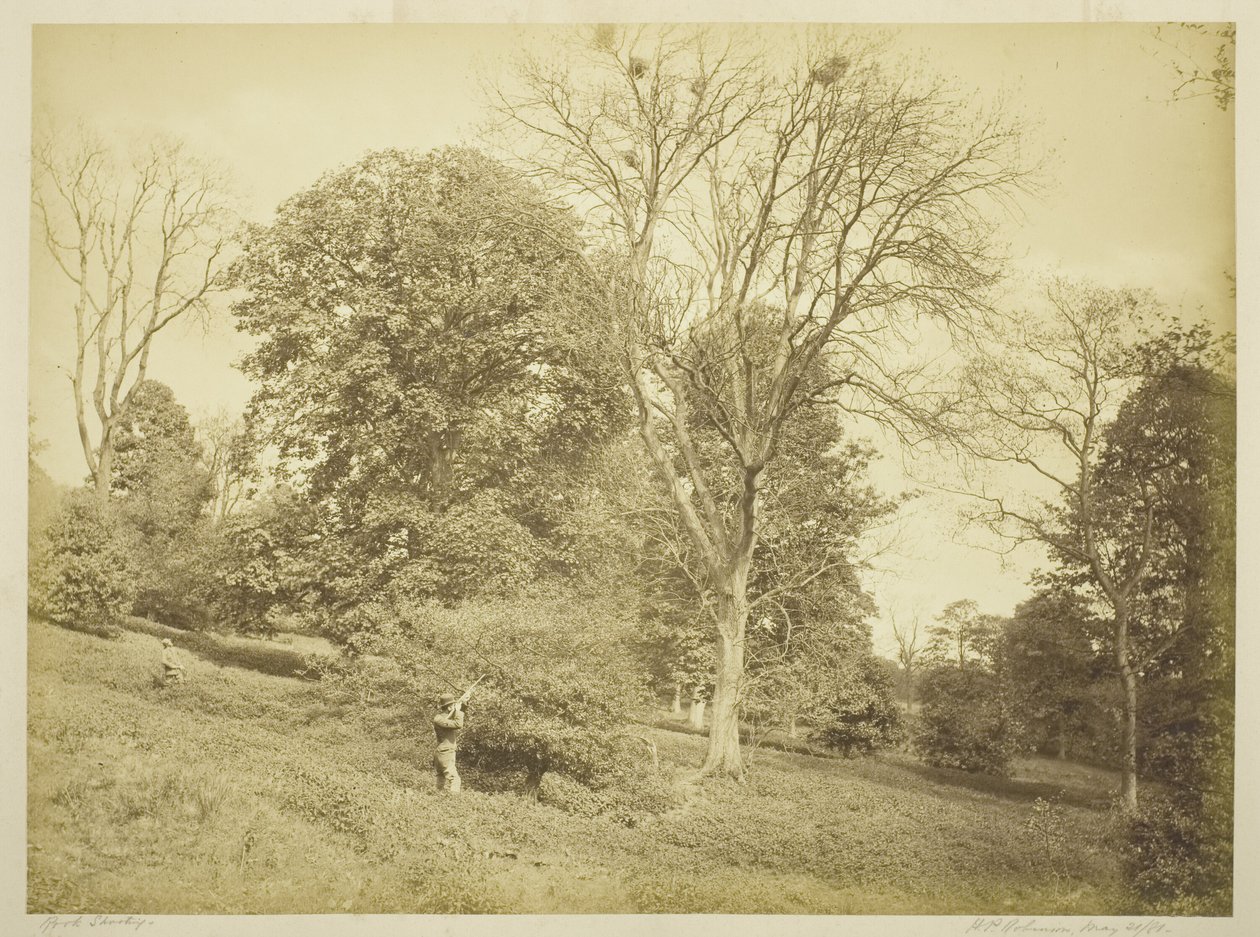 Rook Shooting af Henry Peach Robinson