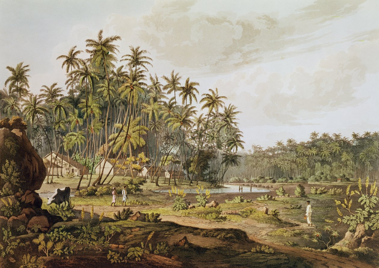 Udsigt nær Point du Galle, Ceylon, indgraveret af Daniel Havell (1785-1826) udgivet i 1809 af Henry Salt