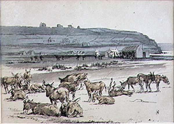 Æsler på golfbanen, illustration fra 