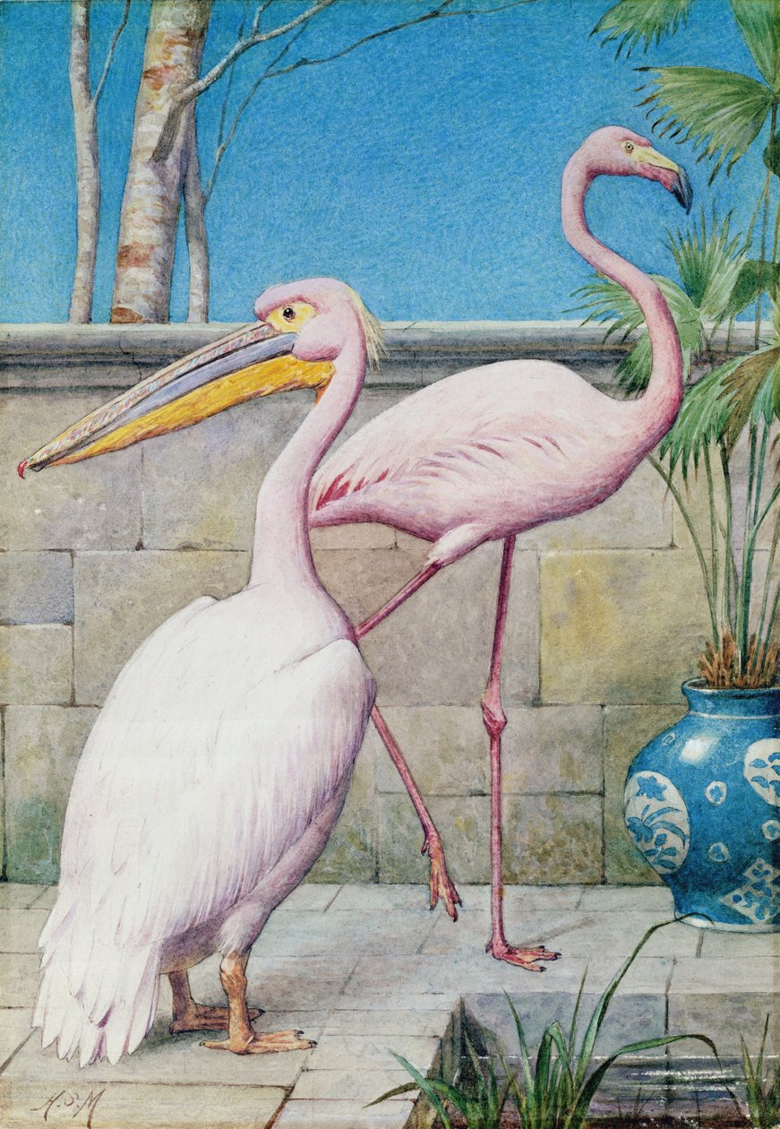 Pelikan og Flamingo (wc) af Henry Stacey Marks