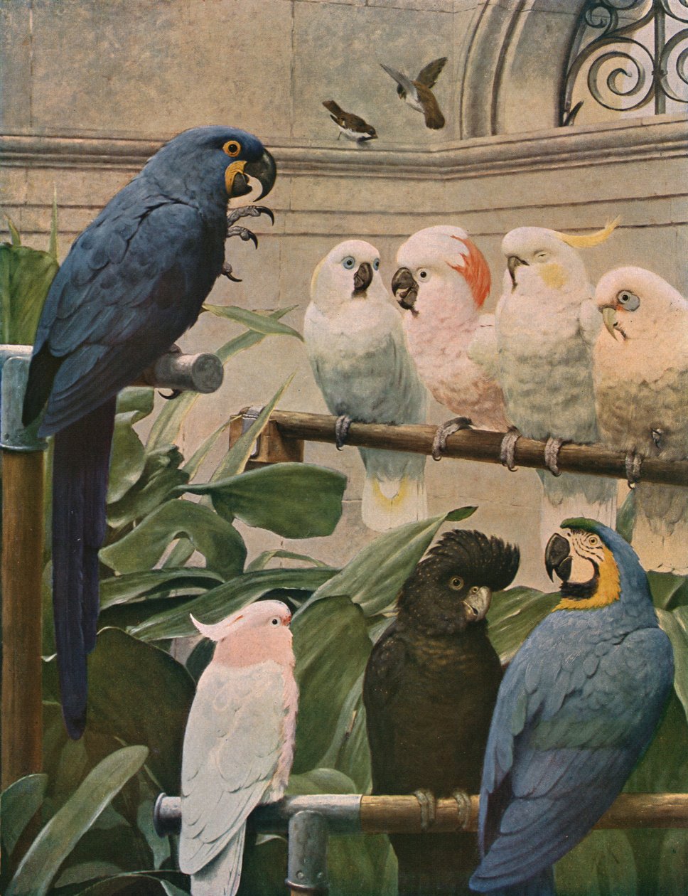 En udvalgt komité, 1891, c1930. af Henry Stacey Marks