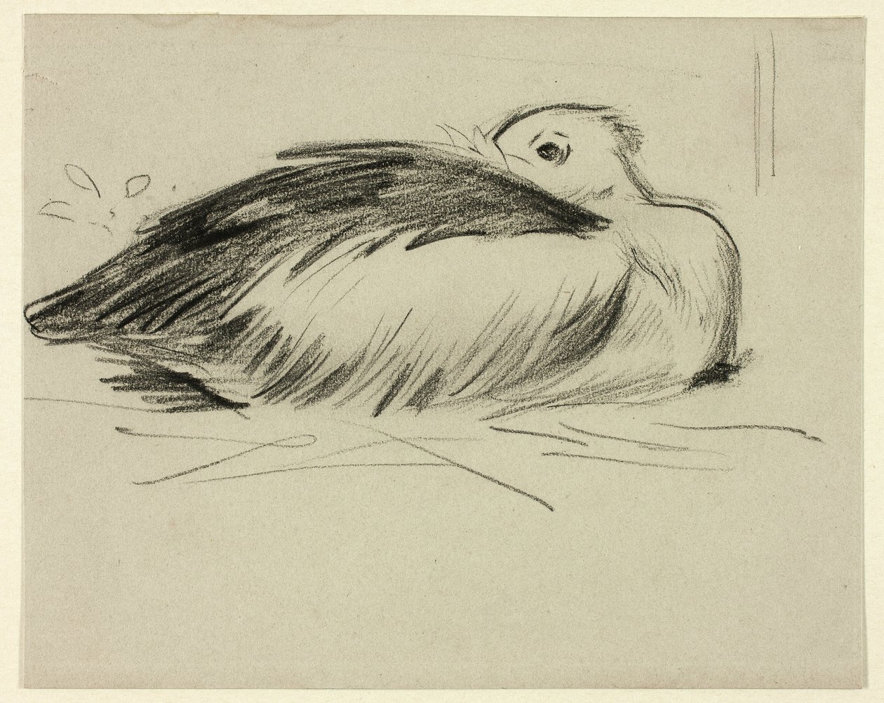 Skitse af rugende stork af Henry Stacy Marks