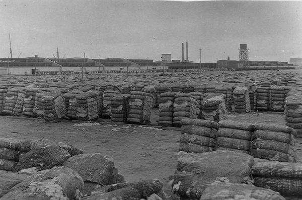 Moody Compress, Galveston (s/h foto) af Henry Stark