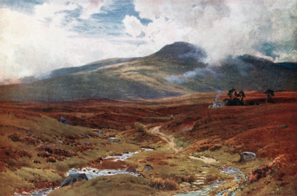 En mose nær Killin, Perthshire (farvelitografi) af Henry Sutton Palmer