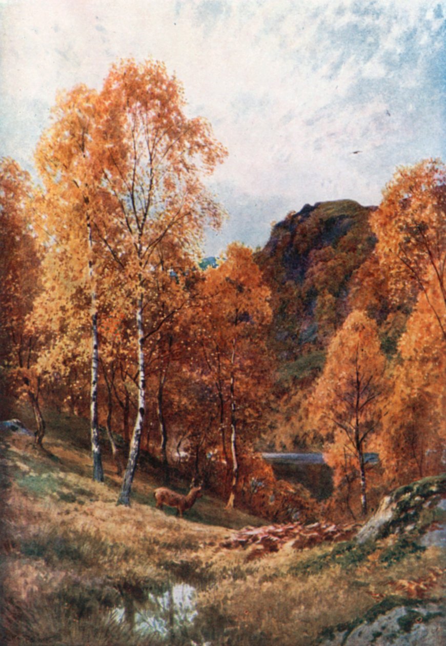 Gyldent efterår, Trossachs, Perthshire (farvelitografi) af Henry Sutton Palmer