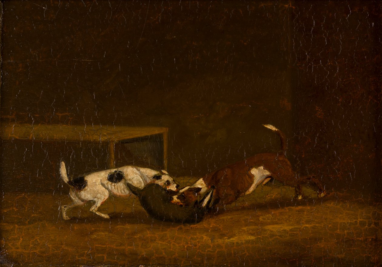 Two Terrier Badger Baiting, ca. 1805-51 (olie på panel) af Henry Thomas (follower of) Alken