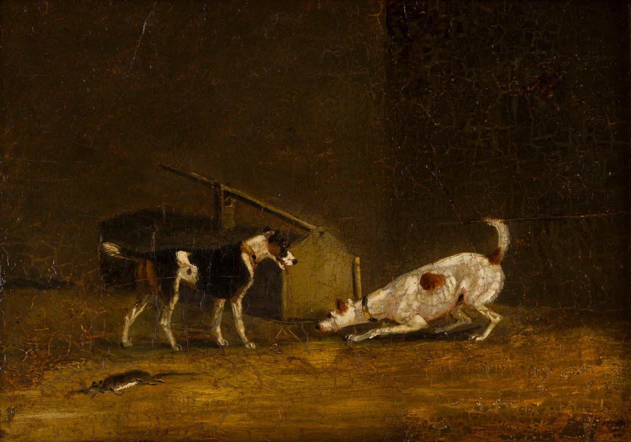 Two Terriers Ratting, ca. 1805-51 (olie på panel) af Henry Thomas (follower of) Alken
