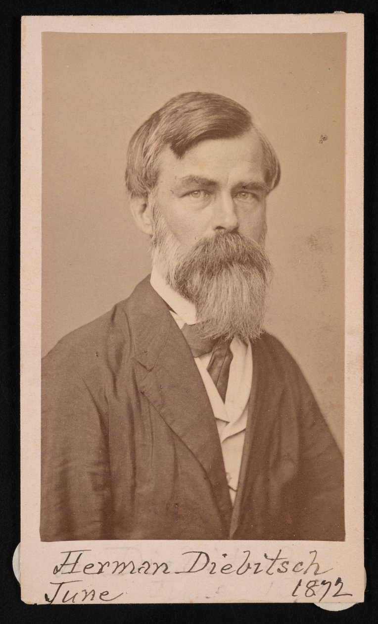 Portræt af Herman Henry Diebitsch 1818-1883, 1871. af Henry Ulke