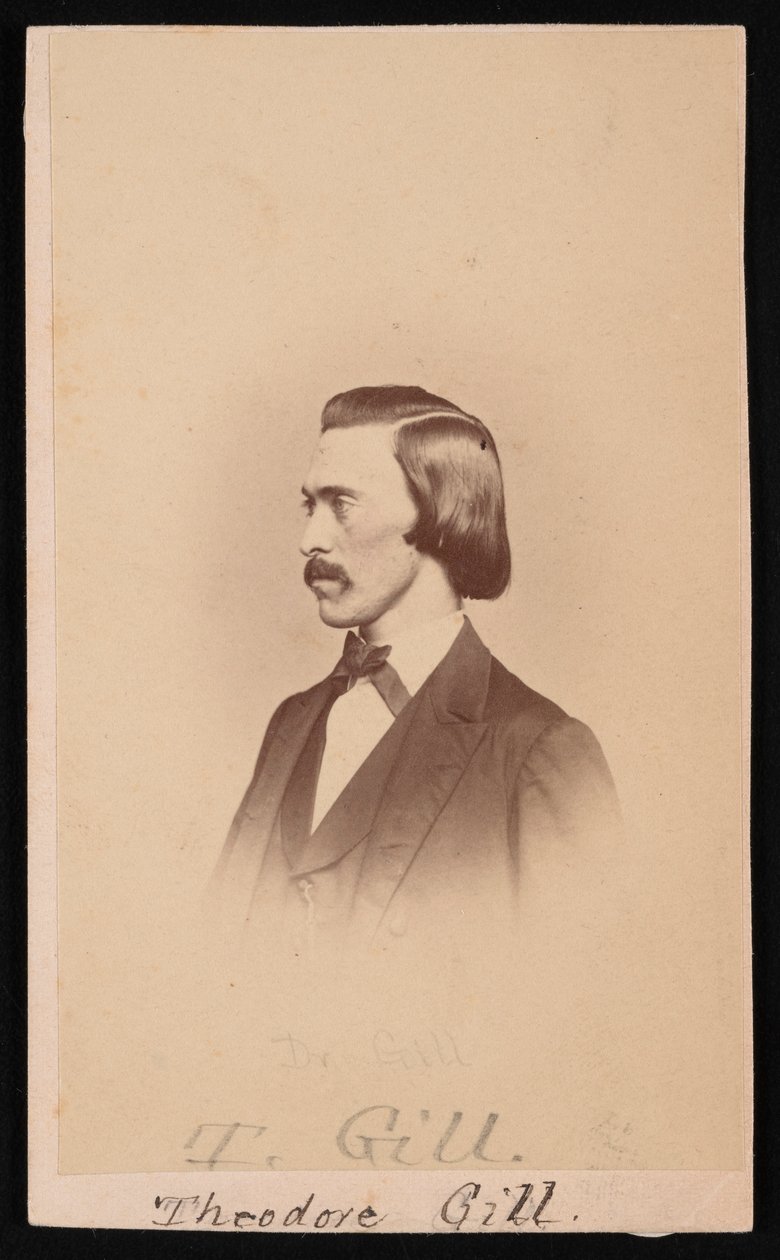 Portræt af Theodore Nicholas Gill 1837-1914, mellem 1865 og 1870. af Henry Ulke