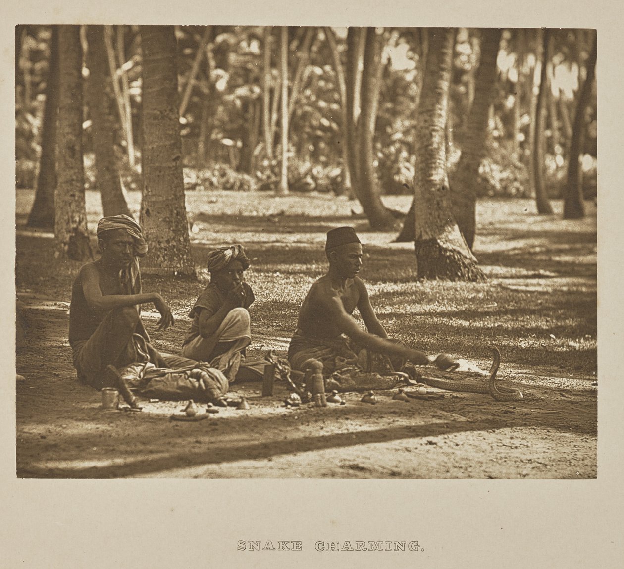 Charmerende slange af Henry W. Cave