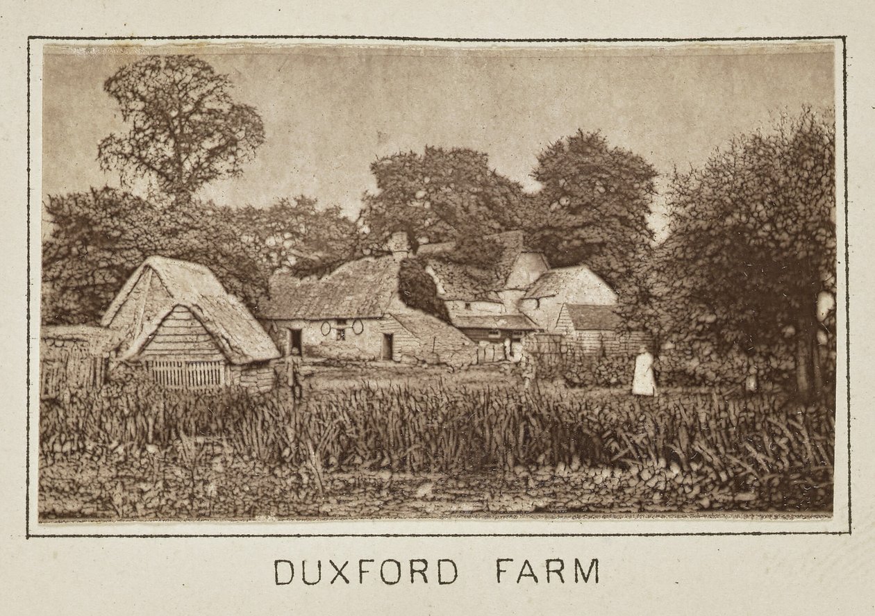 Duxford Farm af Henry W. Taunt