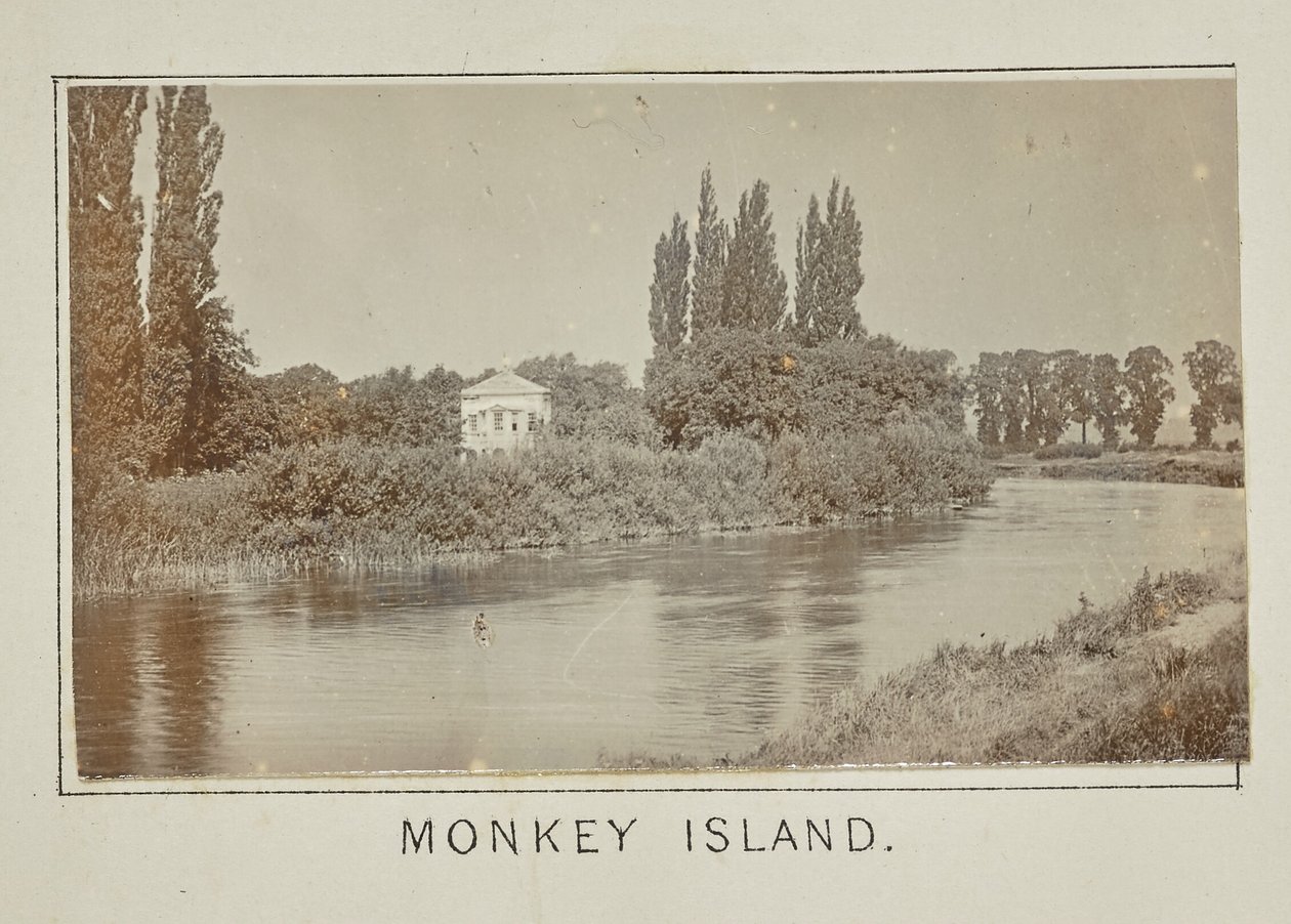 Monkey Island af Henry W. Taunt