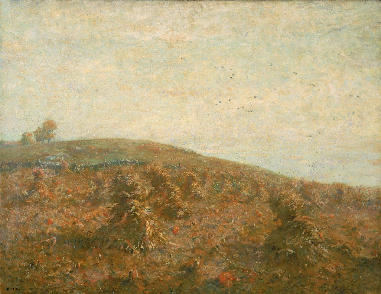 Kornmarken. af Henry Ward Ranger