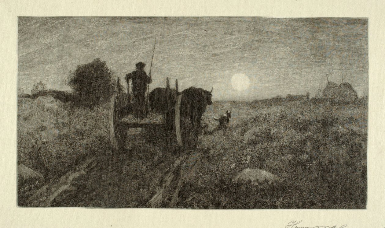 Hjemad af Henry Wolf