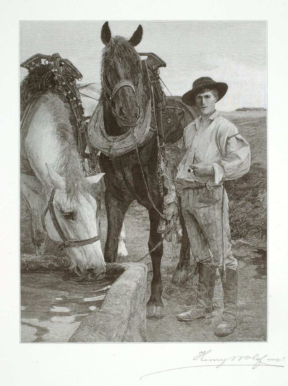 Heste ved vandtruget af Henry Wolf