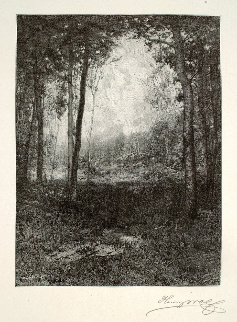 I Adirondacks af Henry Wolf