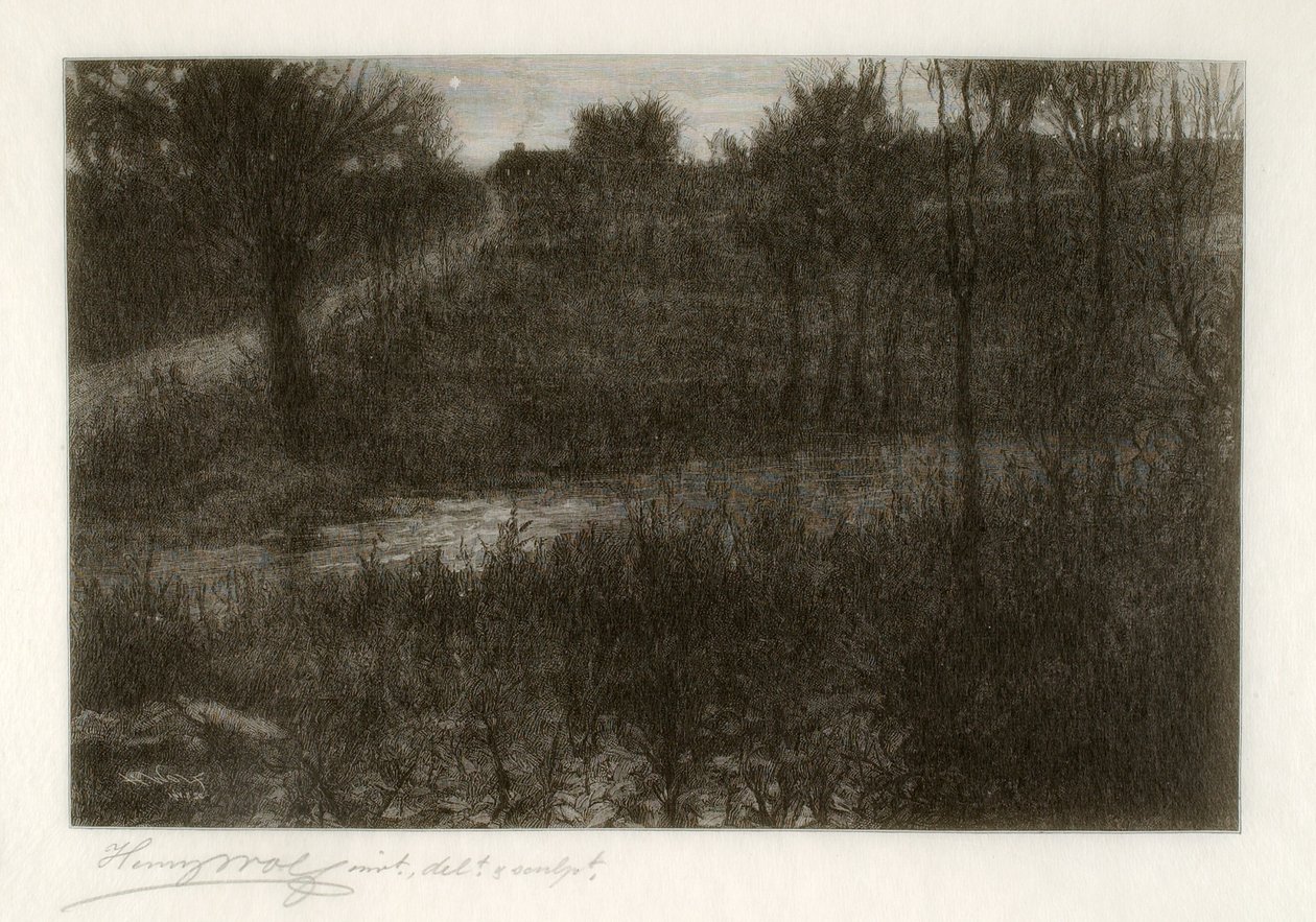 Aftenstjernen (motiv fundet i Catskills) af Henry Wolf