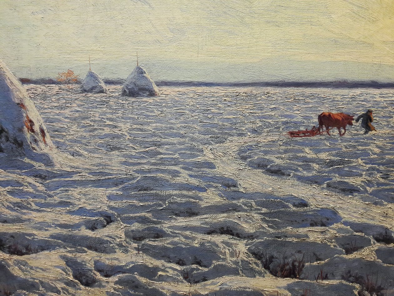 Litauiske sumpe under sne af Henryk Weyssenhoff
