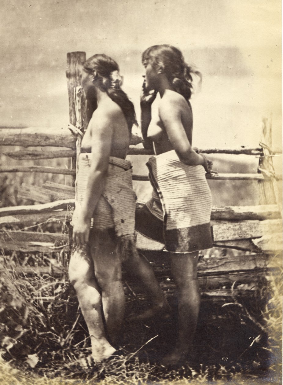 Maori-studie, ca.1870 (albumenprint) af Herbert Deveril